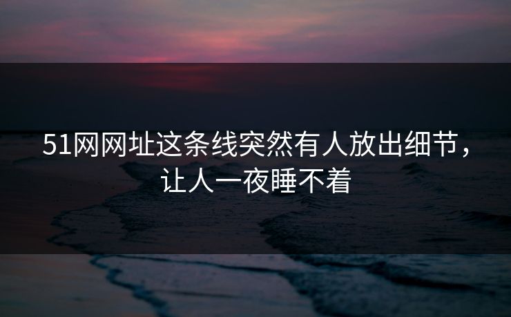 51网网址这条线突然有人放出细节，让人一夜睡不着