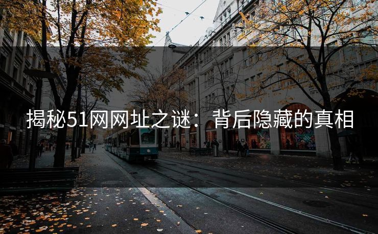揭秘51网网址之谜：背后隐藏的真相