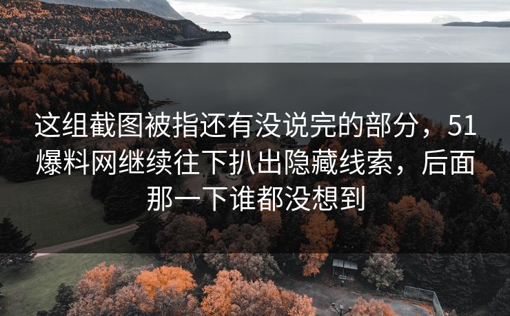 这组截图被指还有没说完的部分，51爆料网继续往下扒出隐藏线索，后面那一下谁都没想到