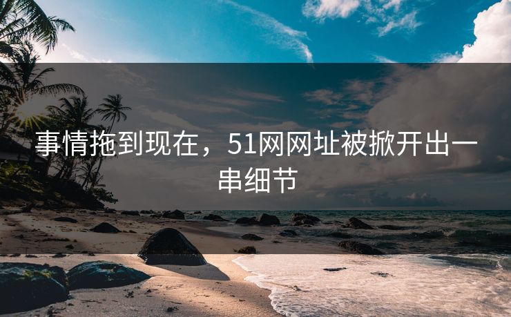 事情拖到现在，51网网址被掀开出一串细节