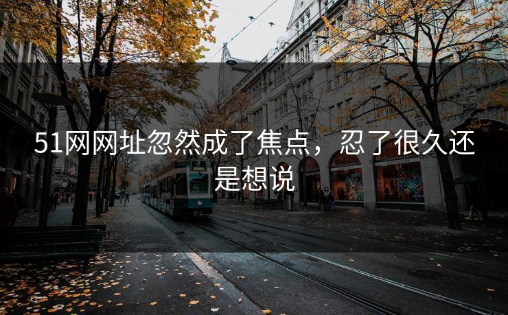 51网网址忽然成了焦点，忍了很久还是想说