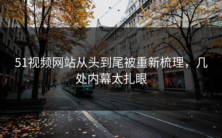 51视频网站从头到尾被重新梳理，几处内幕太扎眼