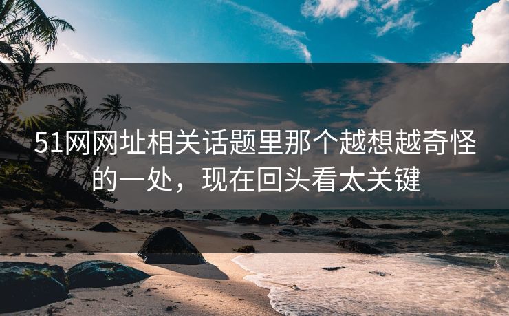 51网网址相关话题里那个越想越奇怪的一处，现在回头看太关键